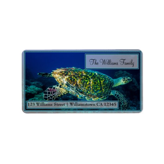 Hawksbill Zee Turtle Adresetiketten Etiket (Voorkant)