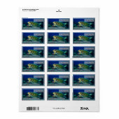 Hawksbill Zee Turtle Adresetiketten Etiket (Full Sheet)