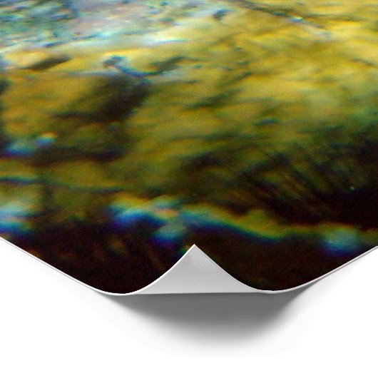 Hawksbill Zee Turtle, Amerikaanse Maagdeneilanden Poster (Hoek)