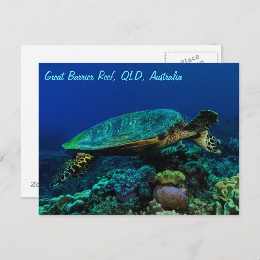 Hawksbill Zee Turtle Briefkaart (Voorkant / Achterkant)