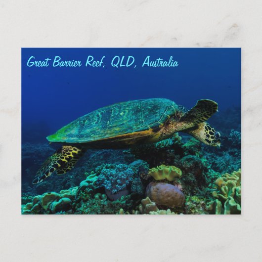 Hawksbill Zee Turtle Briefkaart (Voorkant)