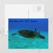 Hawksbill Zee Turtle Briefkaart (Voorkant / Achterkant)