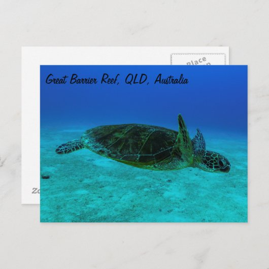 Hawksbill Zee Turtle Briefkaart (Voorkant / Achterkant)