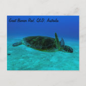 Hawksbill Zee Turtle Briefkaart (Voorkant)