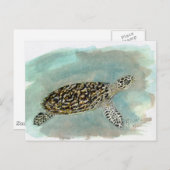 Hawksbill Zee Turtle Briefkaart (Voorkant / Achterkant)