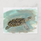 Hawksbill Zee Turtle Briefkaart (Voorkant)