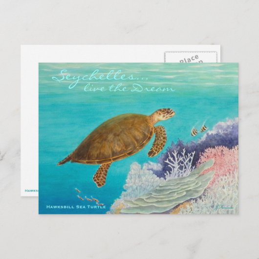 Hawksbill Zee Turtle Briefkaart (Voorkant / Achterkant)
