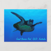 Hawksbill Zee Turtle Briefkaart (Voorkant)