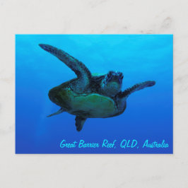 Hawksbill Zee Turtle Briefkaart