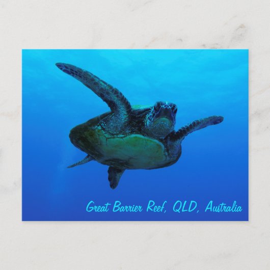 Hawksbill Zee Turtle Briefkaart (Voorkant)