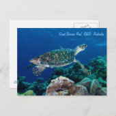 Hawksbill Zee Turtle Briefkaart (Voorkant / Achterkant)