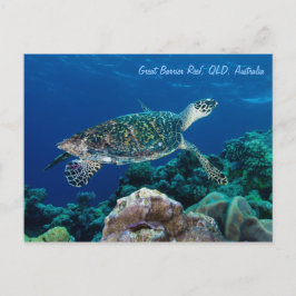 Hawksbill Zee Turtle Briefkaart