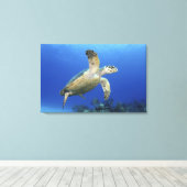 Hawksbill Zee Turtle Canvas Afdruk (Insitu (Houten vloer))