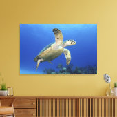 Hawksbill Zee Turtle Canvas Afdruk (Insitu (Woonkamer))