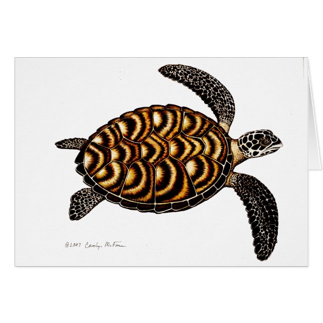 Hawksbill Zee Turtle Card (Voorkant Horizontaal)