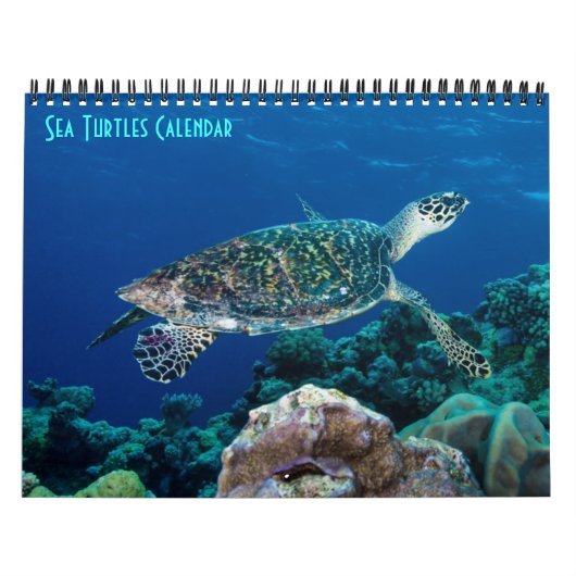 Hawksbill Zee Turtle Great Barrier Reef Coral Zee Kalender (Hoes)