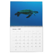 Hawksbill Zee Turtle Great Barrier Reef Coral Zee Kalender (Jan 2027)