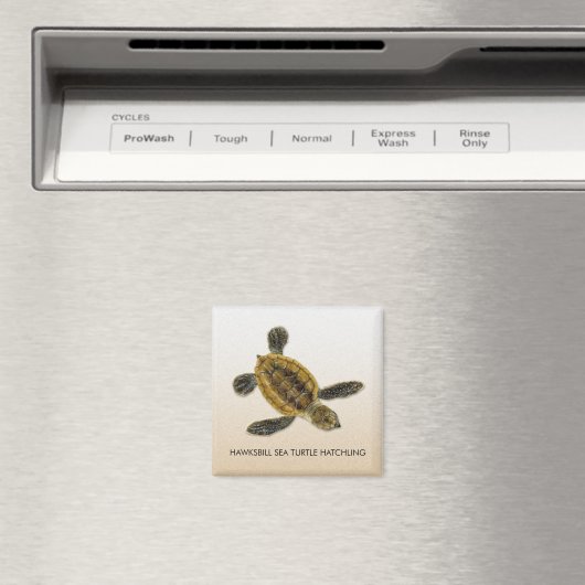 Hawksbill Zee Turtle Hatchling Magnet (Insitu (Vaatwasser))