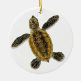 Hawksbill Zee Turtle Hatchling Ornament