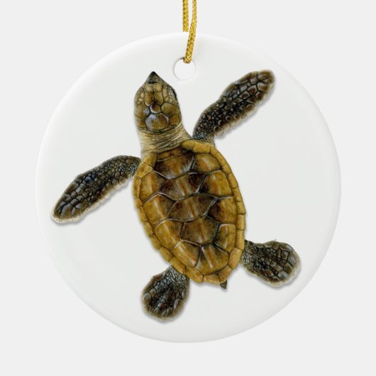 Hawksbill Zee Turtle Hatchling Ornament (Voorkant)