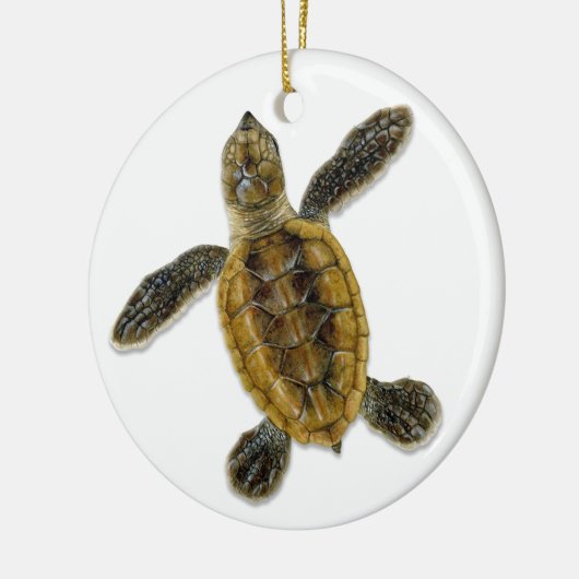 Hawksbill Zee Turtle Hatchling Ornament (Links)