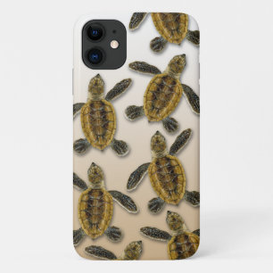 Hawksbill Zee Turtle iPhone Case