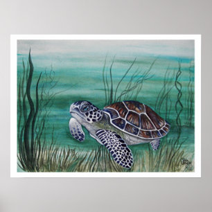 Hawksbill Zee Turtle Poster