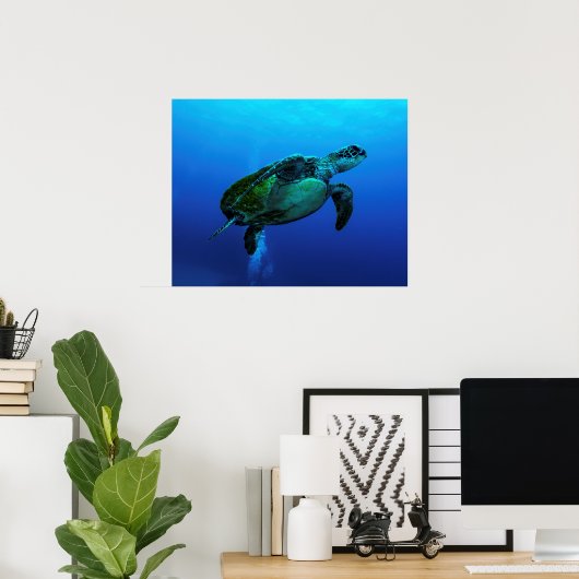 Hawksbill Zee Turtle Poster (Thuiskantoor)