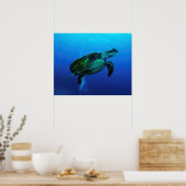 Hawksbill Zee Turtle Poster (Keuken)