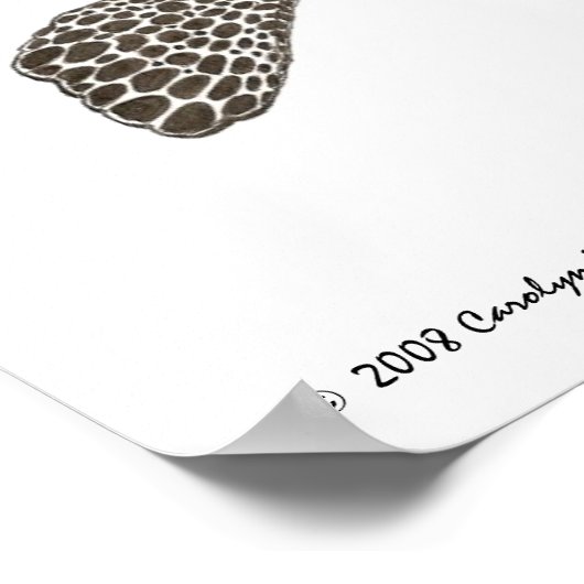 Hawksbill Zee Turtle Print (Hoek)