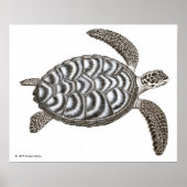 Hawksbill Zee Turtle Print (Voorkant)