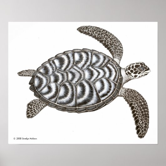 Hawksbill Zee Turtle Print (Voorkant)