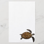 Hawksbill Zee Turtle Stationery Briefpapier (Voorkant)