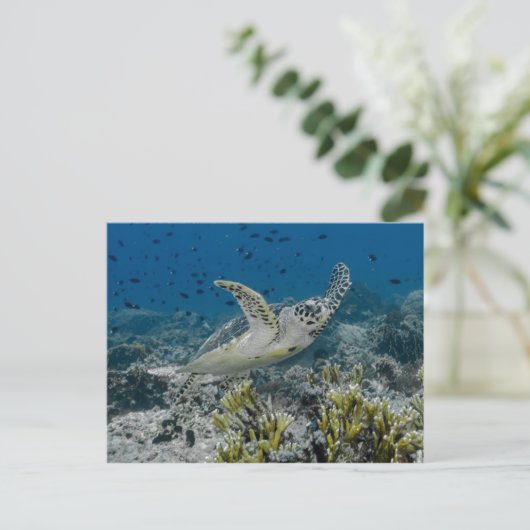 Hawksbill Zee Turtle Swimming Briefkaart (Staand voorkant)