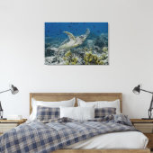 Hawksbill Zee Turtle Swimming Canvas Afdruk (Insitu (Slaapkamer))