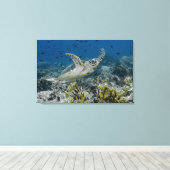 Hawksbill Zee Turtle Swimming Canvas Afdruk (Insitu (Houten vloer))
