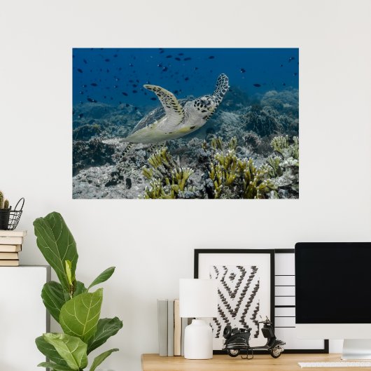 Hawksbill Zee Turtle Swimming Poster (Thuiskantoor)