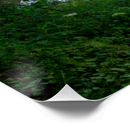 Hawksclough Bridge, Mytholmroyd Perfect Poster (Hoek)