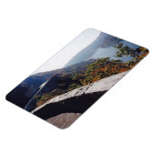 Hawksnest Magneet (Linkerzijde)