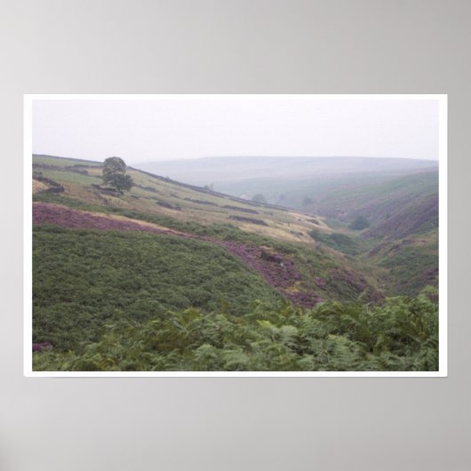Haworth Moor Poster (Voorkant)