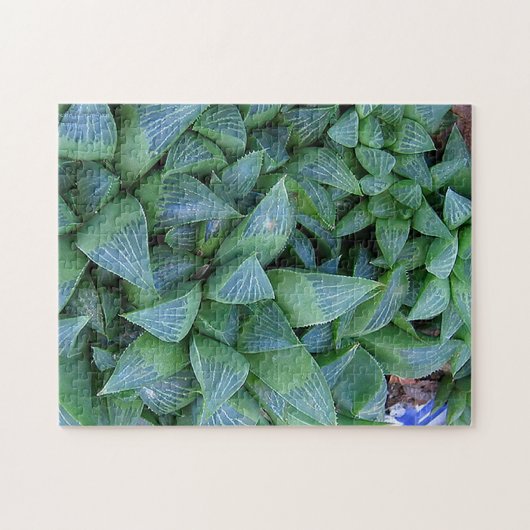 Haworth Succulente Planten Gardener Puzzle Legpuzzel (Horizontaal)