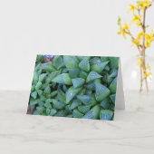 Haworthia Succulente Planten Note Kaart (Gele Bloem)