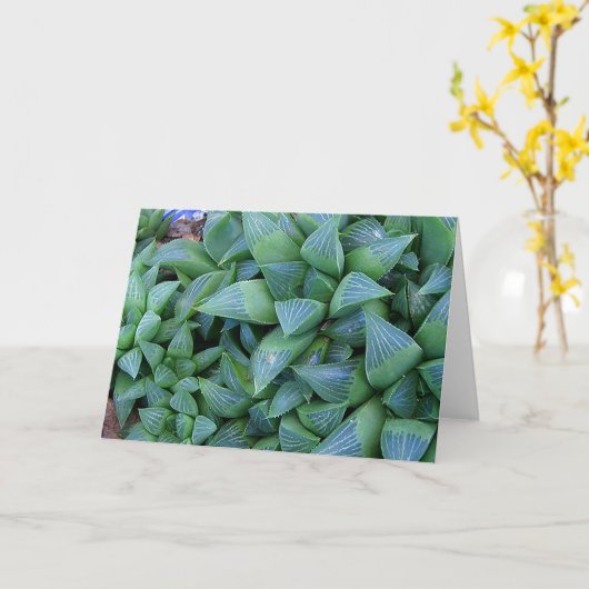 Haworthia Succulente Planten Note Kaart (Gele Bloem)