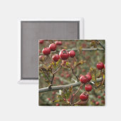 Hawthorn Berries Magnet (Voorkant / Achterkant)