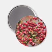 Hawthorn Berries Magnet (Voorkant / Achterkant)