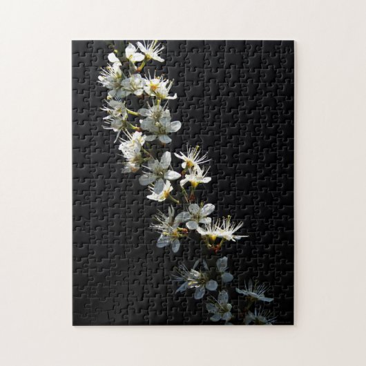 Hawthorn Bloemen 11x14 252pc jpcnm Legpuzzel (Verticaal)