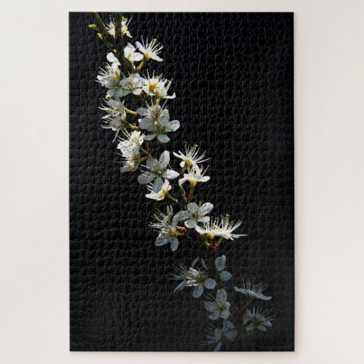Hawthorn Bloemen 20x30 1014pc jpcnm Legpuzzel (Verticaal)
