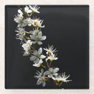 Hawthorn Bloemen coastercna Glazen Onderzetter