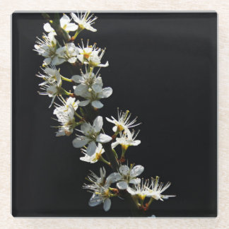 Hawthorn Bloemen coastercna Glazen Onderzetter