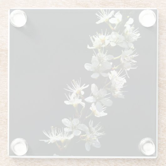 Hawthorn Bloemen coastercna Glazen Onderzetter (Achterkant)
